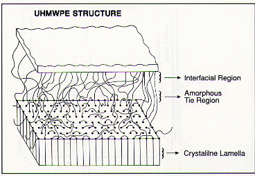 Structure of UHMWPE